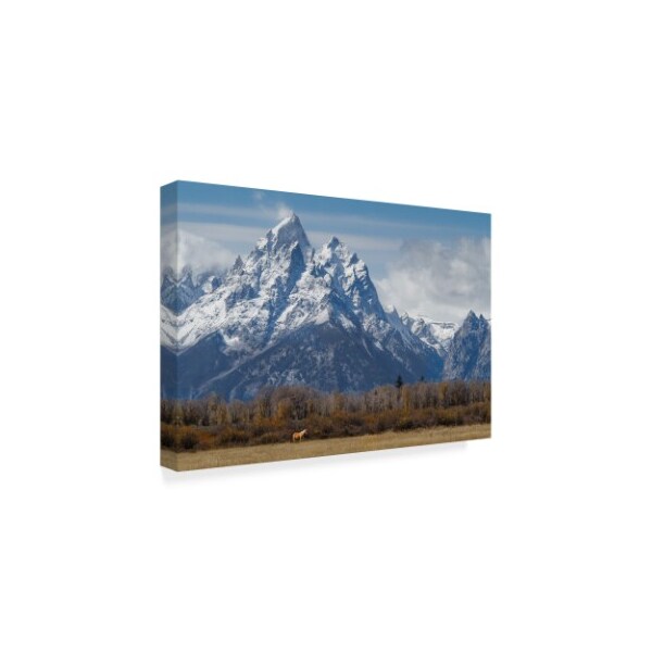 Galloimages Online 'A Horse In Front Of The Grand Teton' Canvas Art,22x32